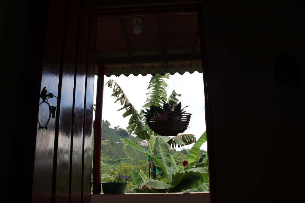 Caficultur -Alojamiento Rural Buenavista  Exteriér fotografie